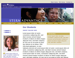 NYU Stern Advantage - Summer Undergraduate Program