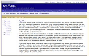 New York University, Stern School of Business