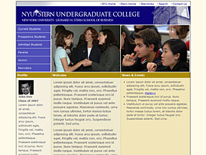 NYU Stern Undergraduate College